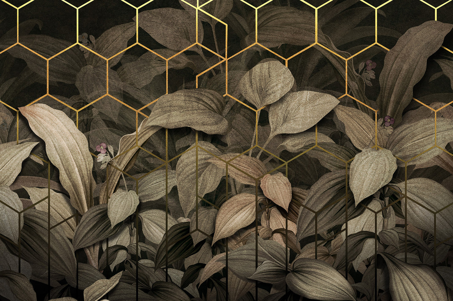 Tapetai Tropiglo  - Lorenso