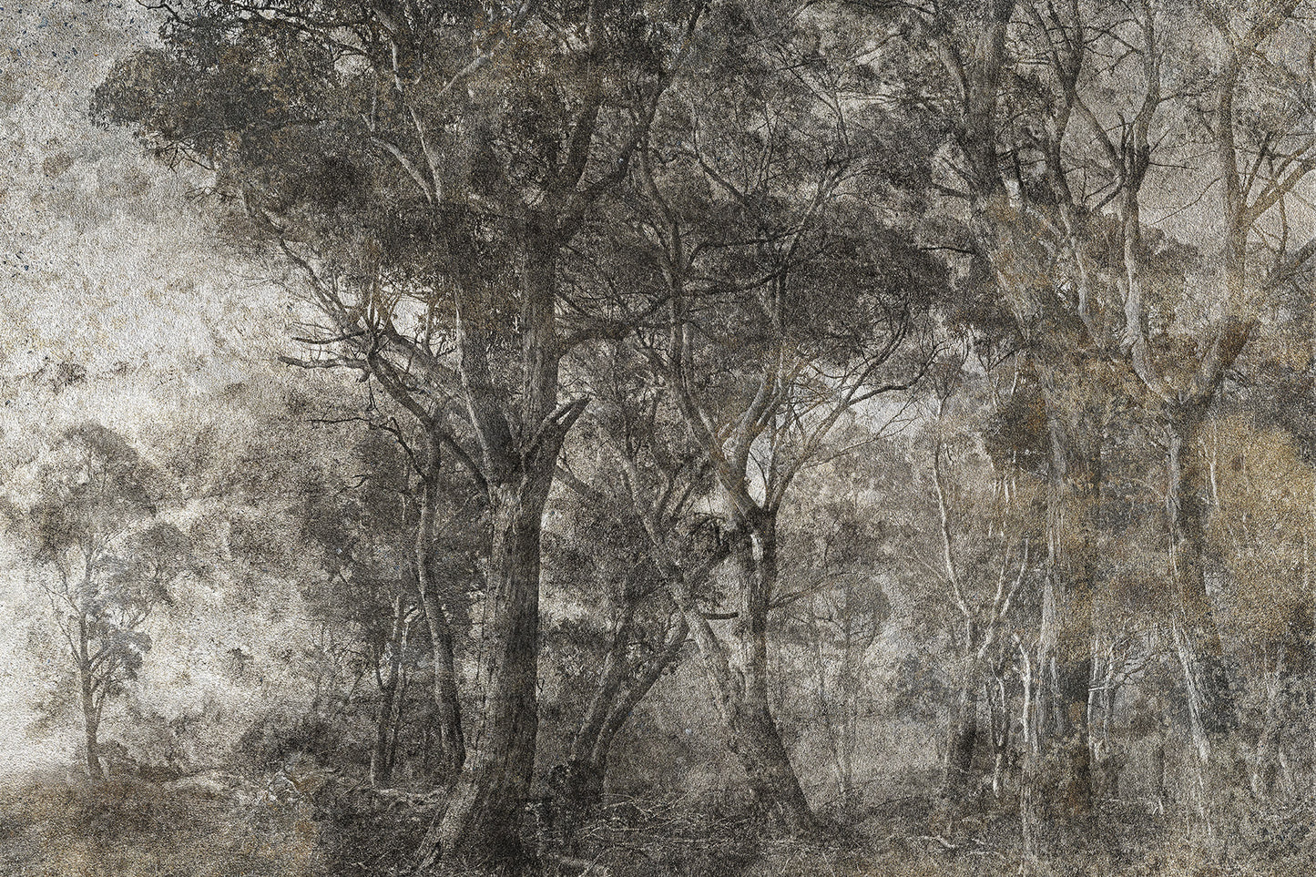 Tapetai Treviso – Lorenso