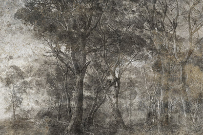 Tapetai Treviso – Lorenso