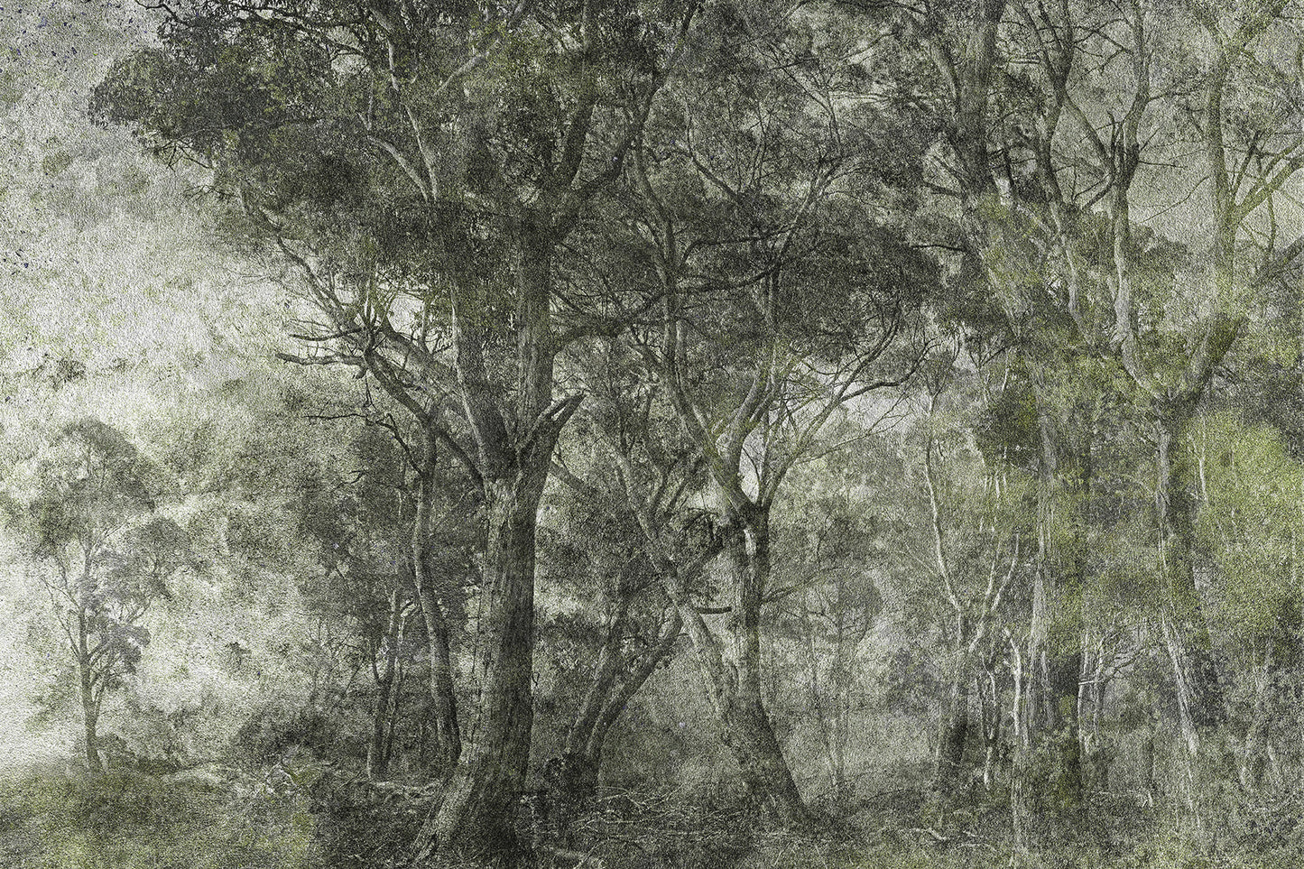 Tapetai Treviso – Lorenso