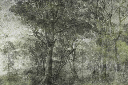 Tapetai Treviso – Lorenso