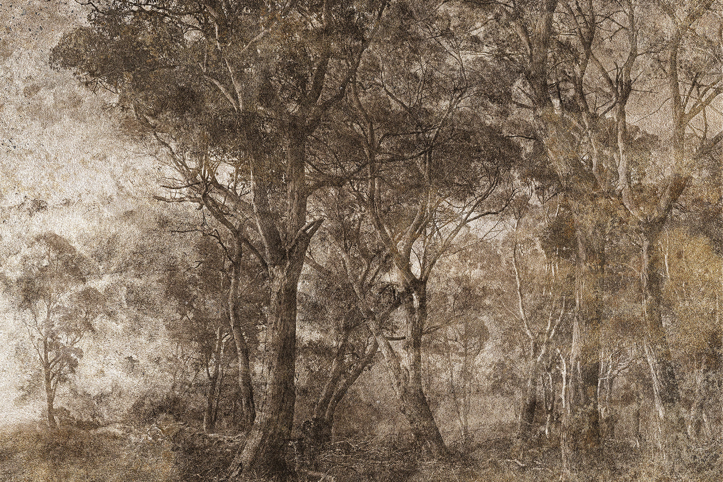 Tapetai Treviso – Lorenso