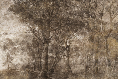 Tapetai Treviso – Lorenso