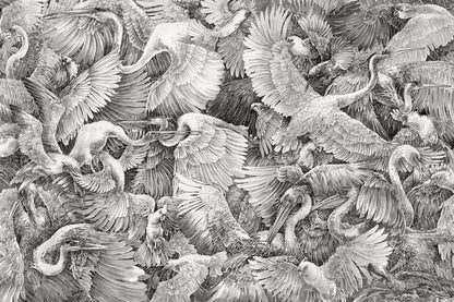 Tapetai Paravis - Lorenso