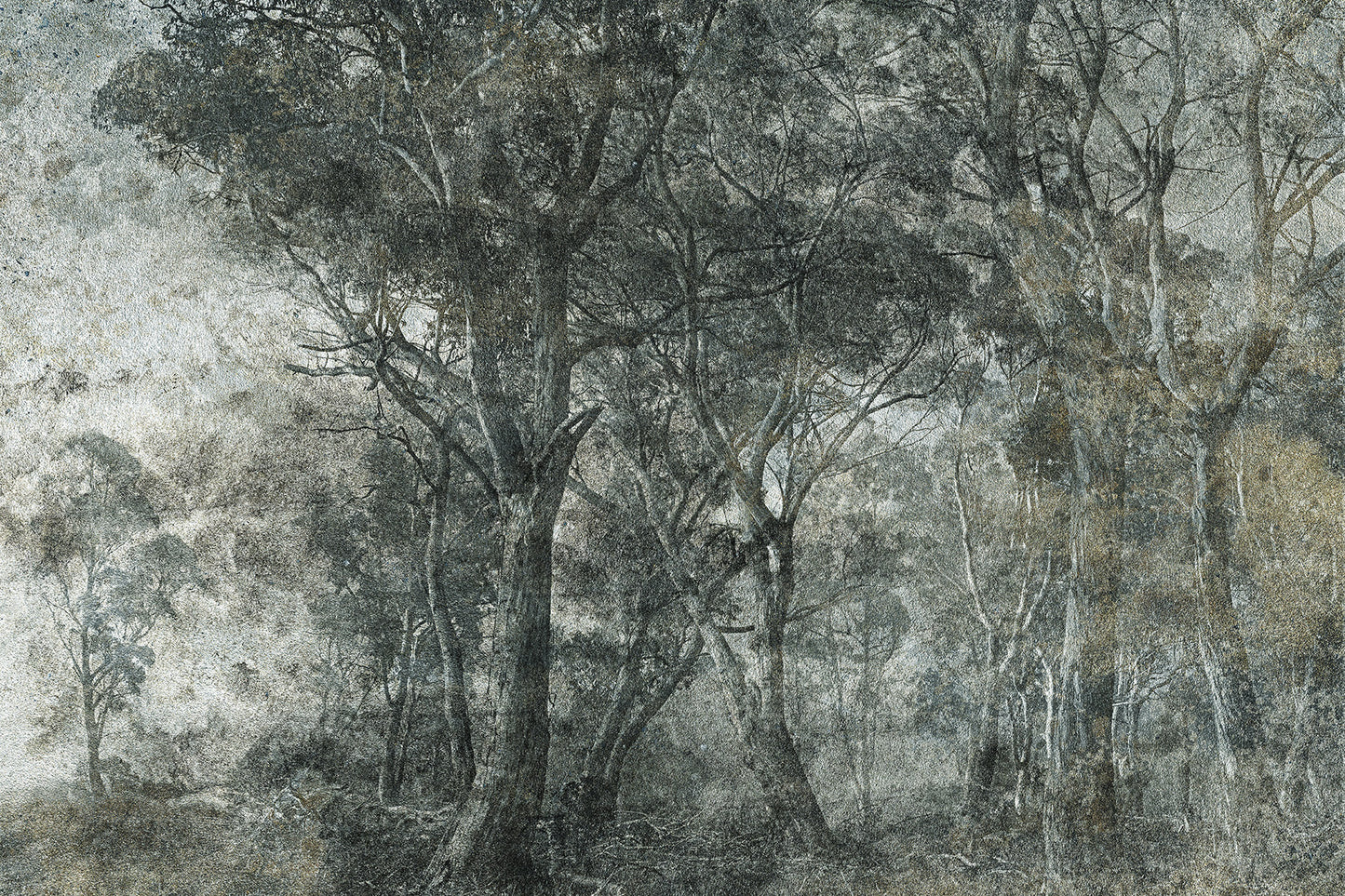 Tapetai Treviso – Lorenso