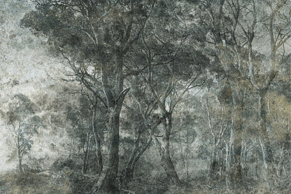 Tapetai Treviso – Lorenso