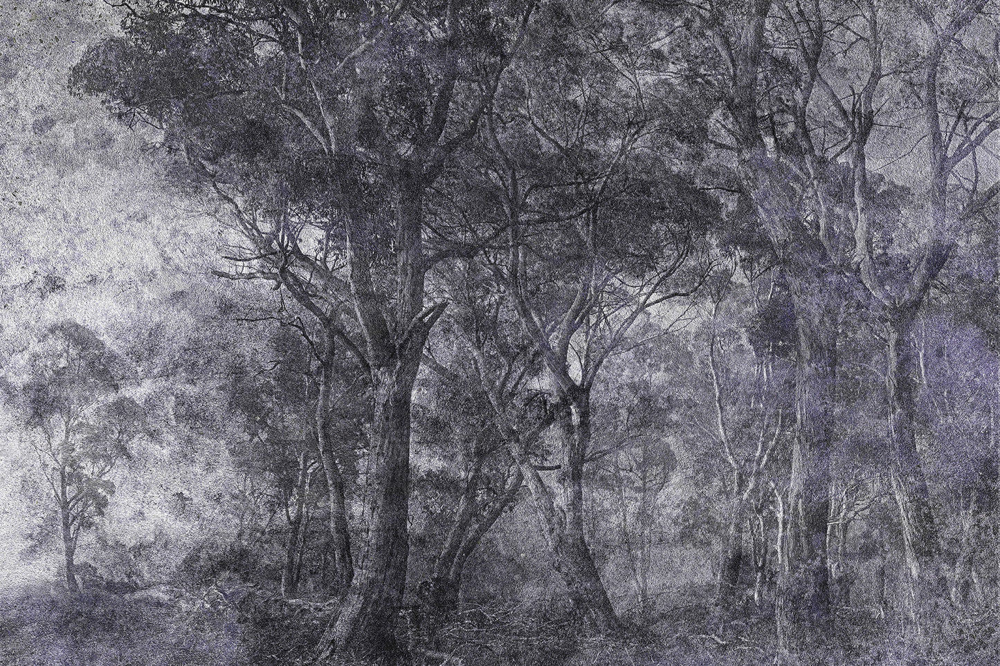 Tapetai Treviso – Lorenso