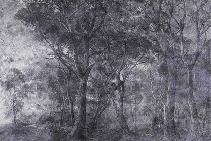 Tapetai Treviso – Lorenso